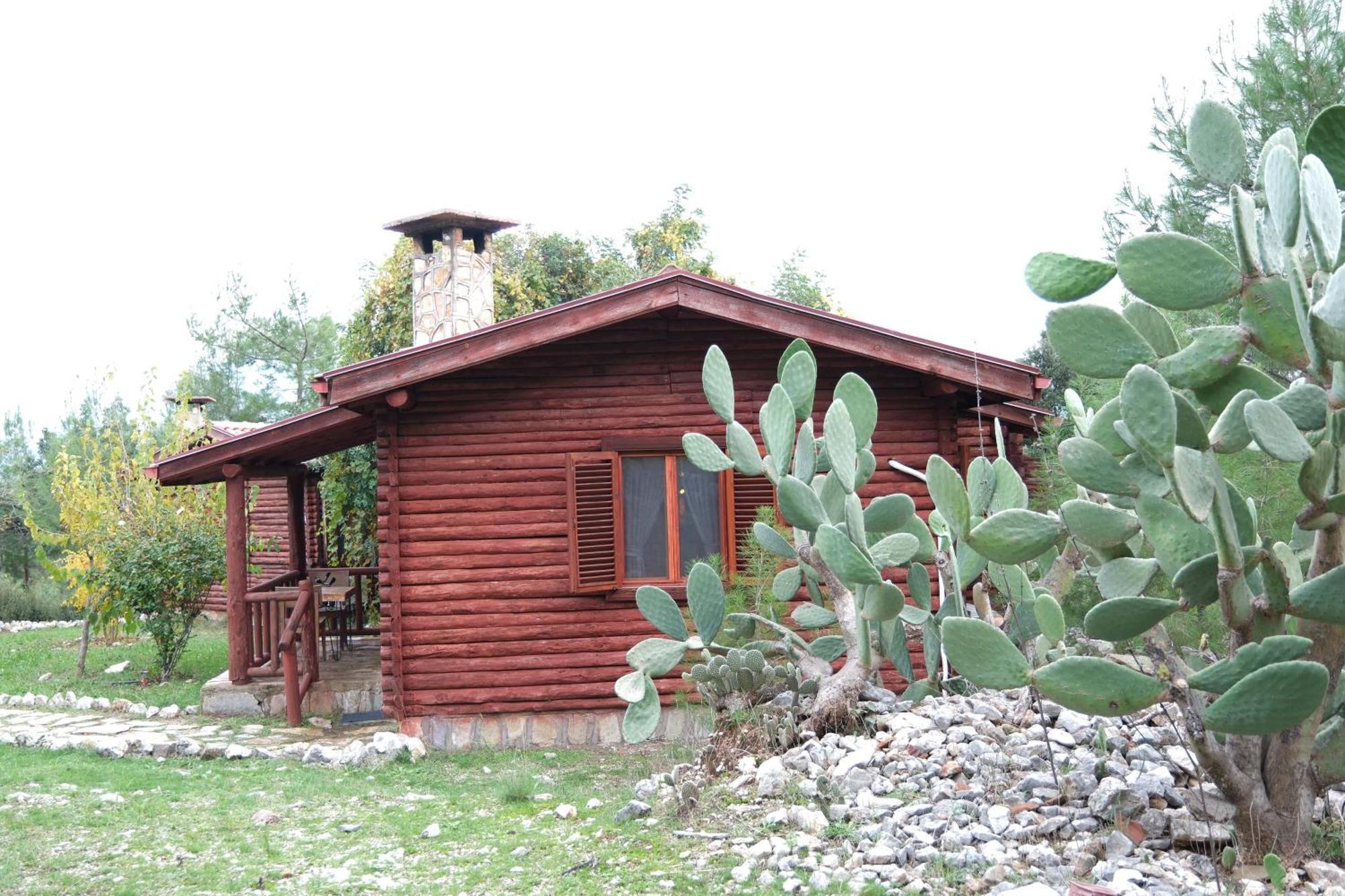 Antalya Bodrum Kayasi Dag Oteli Hasdumen Exterior photo